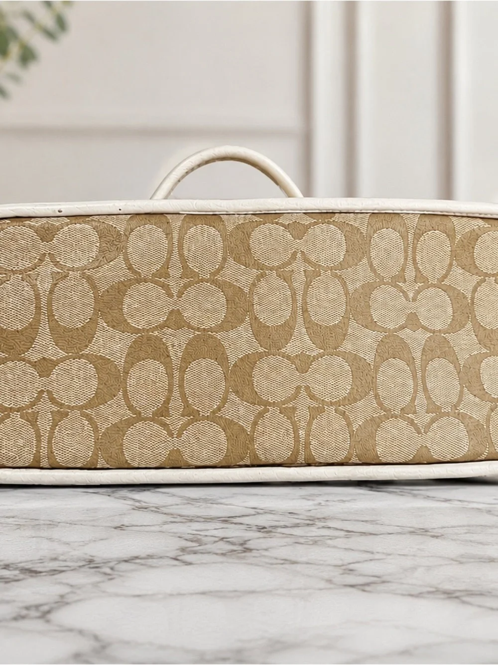 Coach dome satchel